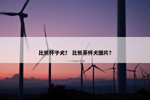 比熊杯子犬？ 比熊茶杯犬图片？