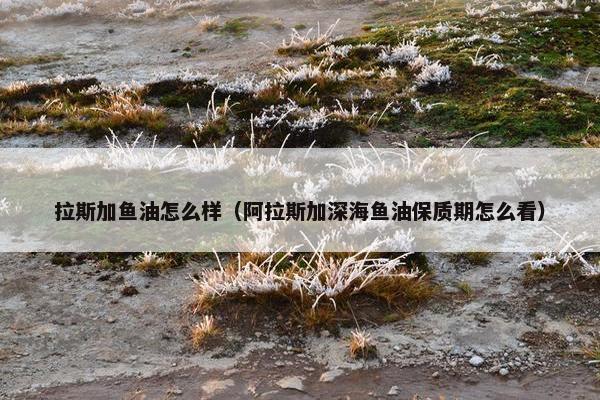 拉斯加鱼油怎么样（阿拉斯加深海鱼油保质期怎么看）