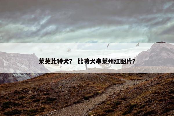 莱芜比特犬？ 比特犬串莱州红图片？