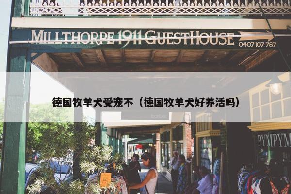 德国牧羊犬受宠不（德国牧羊犬好养活吗）