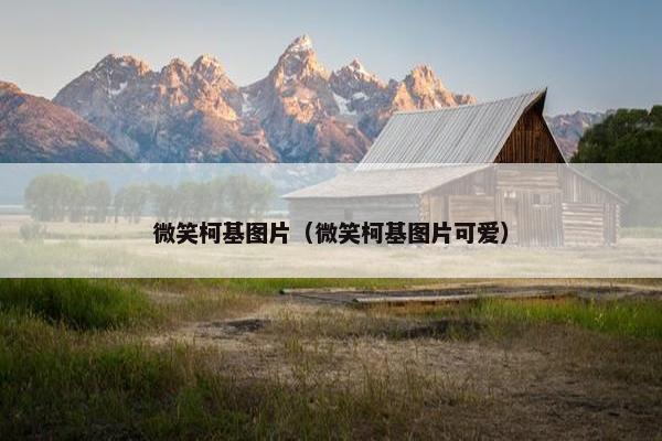 微笑柯基图片（微笑柯基图片可爱）