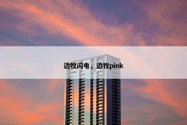 边牧闪电，边牧pink