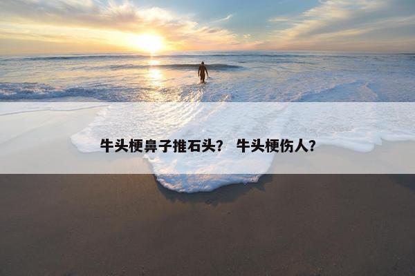 牛头梗鼻子推石头？ 牛头梗伤人？