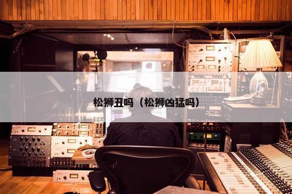松狮丑吗（松狮凶猛吗）