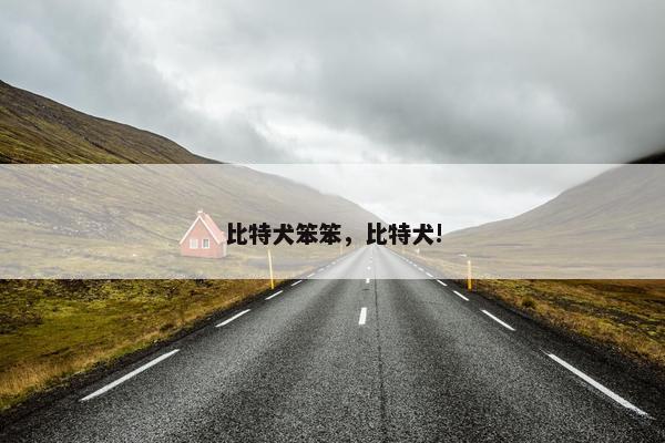 比特犬笨笨，比特犬!