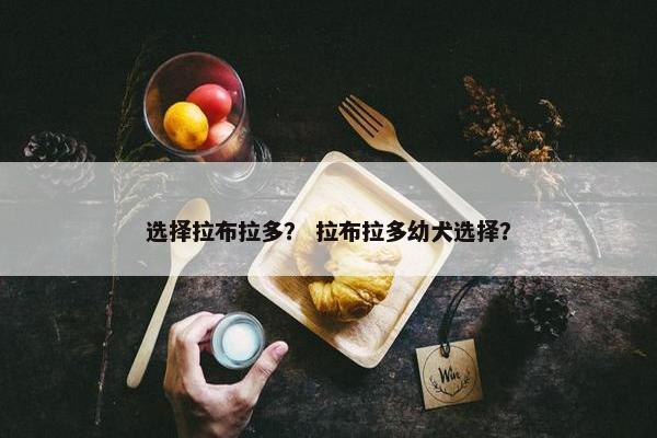 选择拉布拉多？ 拉布拉多幼犬选择？