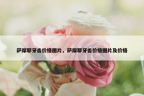 萨摩耶牙齿价格图片，萨摩耶牙齿价格图片及价格