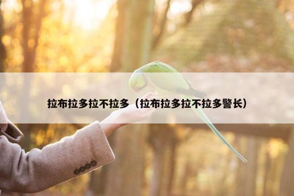 拉布拉多拉不拉多（拉布拉多拉不拉多警长）