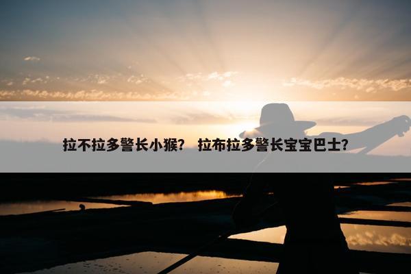 拉不拉多警长小猴？ 拉布拉多警长宝宝巴士？