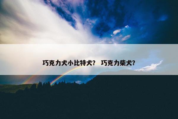 巧克力犬小比特犬？ 巧克力柴犬？