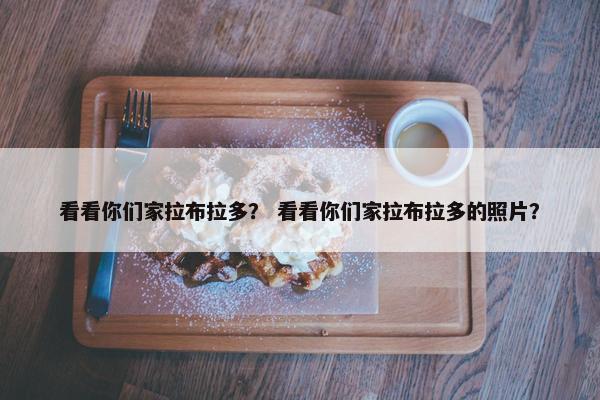 看看你们家拉布拉多？ 看看你们家拉布拉多的照片？