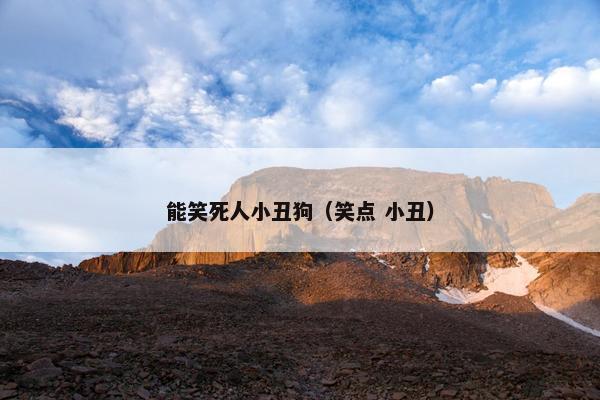 能笑死人小丑狗（笑点 小丑）