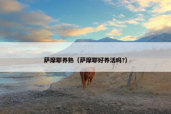 萨摩耶养熟（萨摩耶好养活吗?）