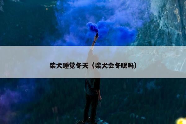 柴犬睡觉冬天（柴犬会冬眠吗）