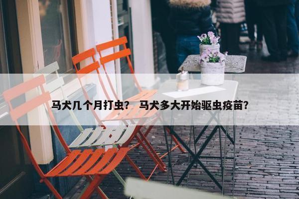 马犬几个月打虫？ 马犬多大开始驱虫疫苗？