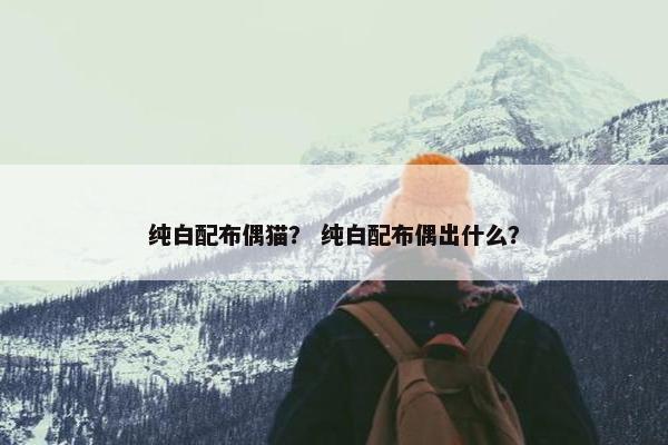 纯白配布偶猫？ 纯白配布偶出什么？