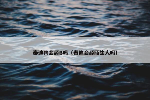 泰迪狗会舔B吗（泰迪会舔陌生人吗）