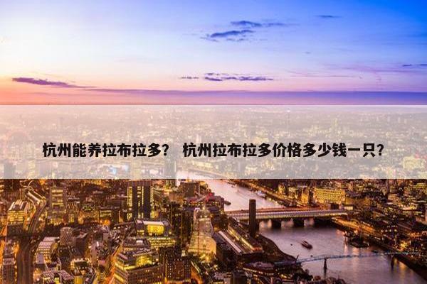 杭州能养拉布拉多？ 杭州拉布拉多价格多少钱一只？