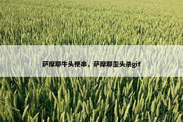 萨摩耶牛头梗串，萨摩耶歪头杀gif