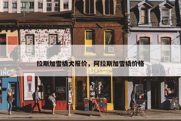 拉斯加雪橇犬报价，阿拉斯加雪橇价格
