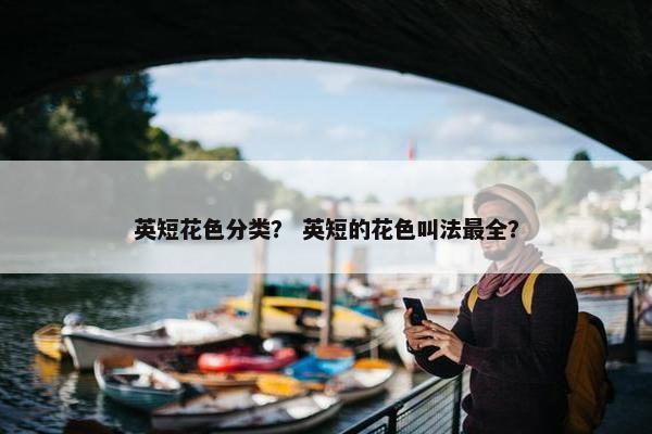 英短花色分类？ 英短的花色叫法最全？