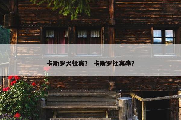 卡斯罗犬杜宾？ 卡斯罗杜宾串？