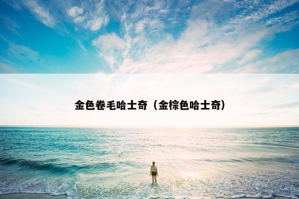 金色卷毛哈士奇（金棕色哈士奇）