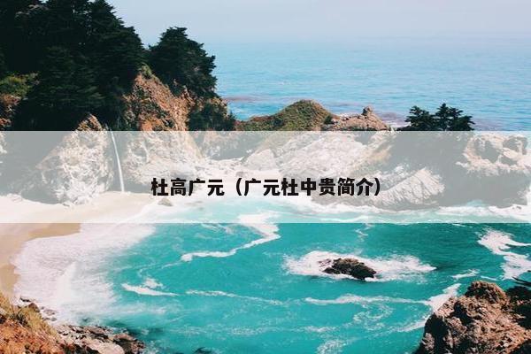 杜高广元（广元杜中贵简介）