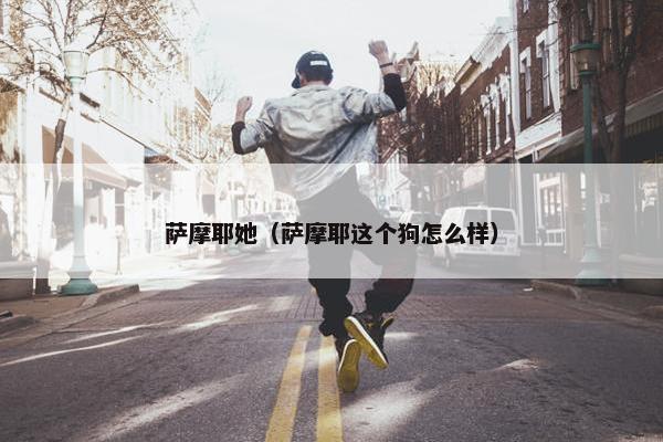 萨摩耶她（萨摩耶这个狗怎么样）