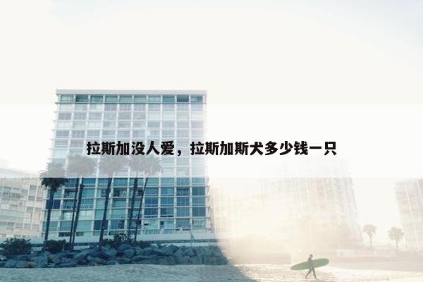 拉斯加没人爱，拉斯加斯犬多少钱一只