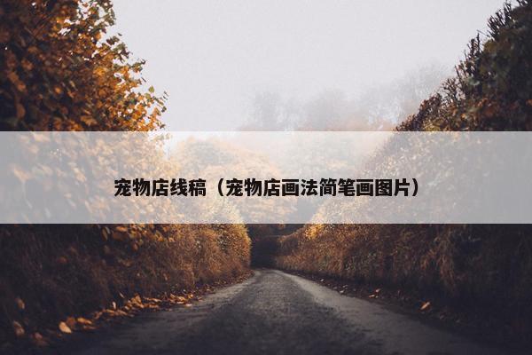 宠物店线稿（宠物店画法简笔画图片）