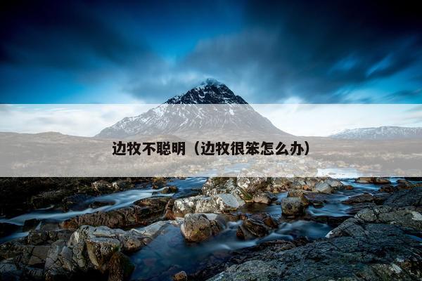 边牧不聪明（边牧很笨怎么办）