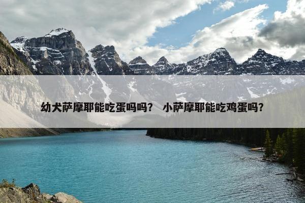 幼犬萨摩耶能吃蛋吗吗？ 小萨摩耶能吃鸡蛋吗？