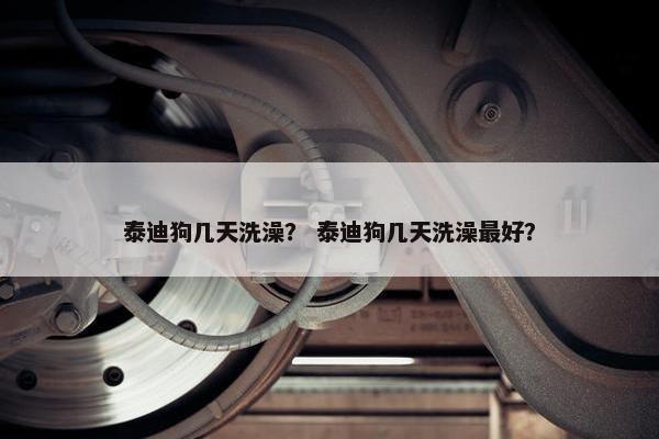泰迪狗几天洗澡？ 泰迪狗几天洗澡最好？