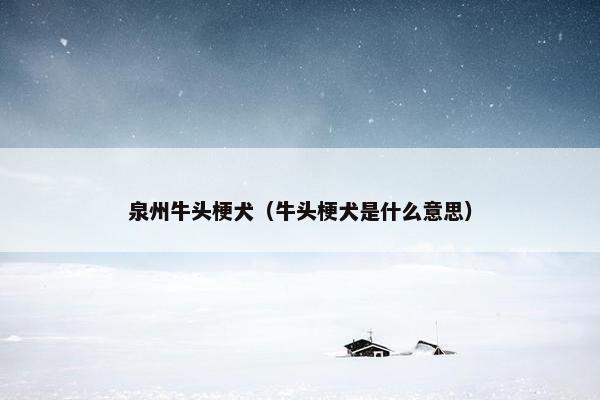 泉州牛头梗犬（牛头梗犬是什么意思）