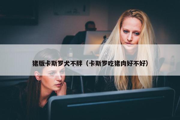 猪版卡斯罗犬不胖（卡斯罗吃猪肉好不好）