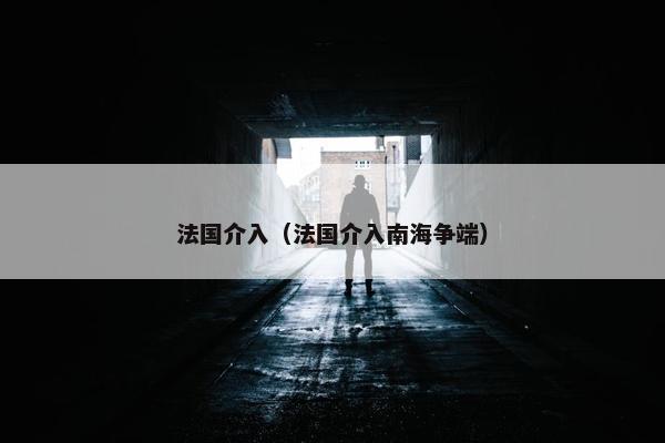 法国介入（法国介入南海争端）