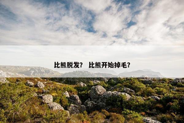 比熊脱发？ 比熊开始掉毛？