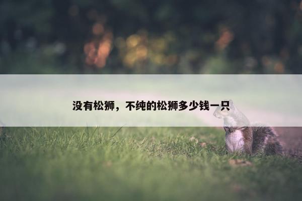 没有松狮，不纯的松狮多少钱一只