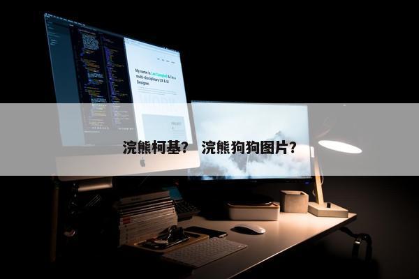浣熊柯基？ 浣熊狗狗图片？