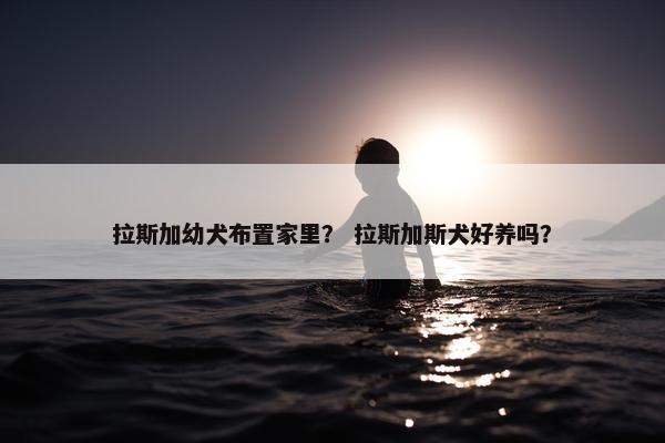 拉斯加幼犬布置家里？ 拉斯加斯犬好养吗？