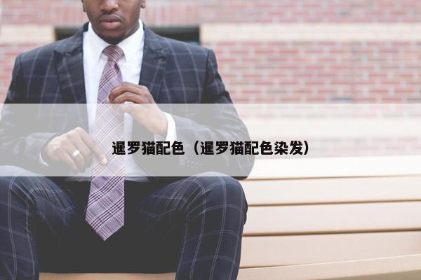 暹罗猫配色（暹罗猫配色染发）
