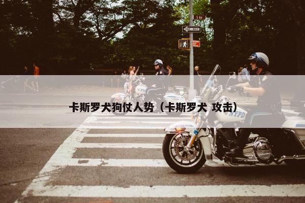 卡斯罗犬狗仗人势（卡斯罗犬 攻击）
