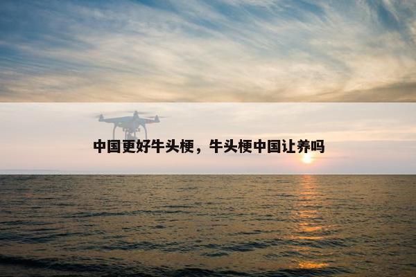 中国更好牛头梗，牛头梗中国让养吗