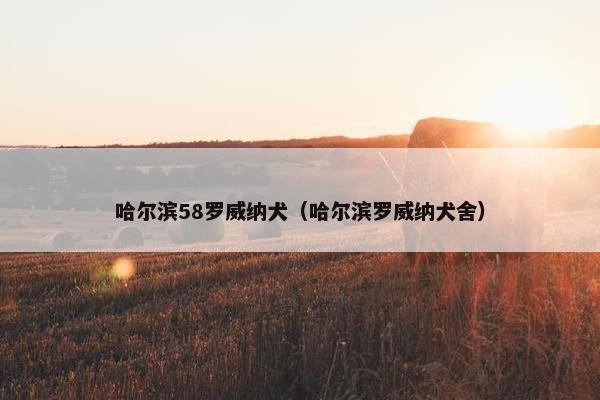 哈尔滨58罗威纳犬（哈尔滨罗威纳犬舍）