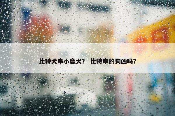 比特犬串小鹿犬？ 比特串的狗凶吗？