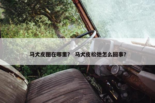 马犬皮图在哪里？ 马犬皮松弛怎么回事？