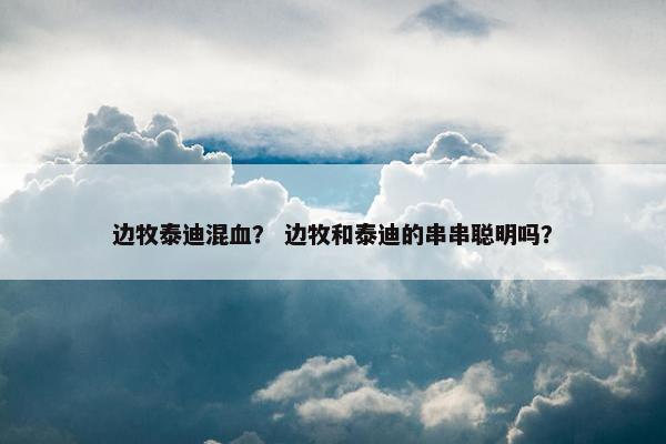 边牧泰迪混血？ 边牧和泰迪的串串聪明吗？