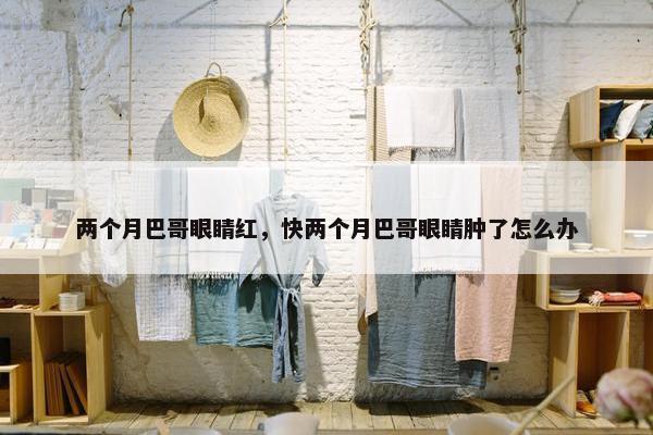 两个月巴哥眼睛红，快两个月巴哥眼睛肿了怎么办
