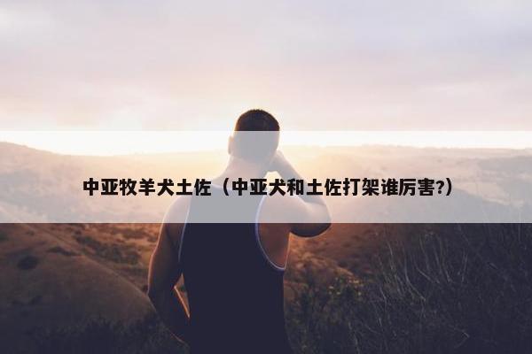 中亚牧羊犬土佐（中亚犬和土佐打架谁厉害?）